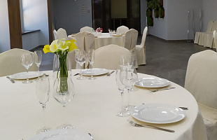 Елки Бар РК