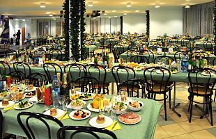 Парк-отель Огниково