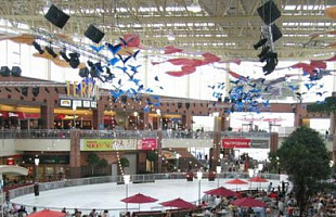 Каток в ТРЦ Мега - Химки