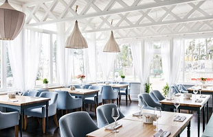 Птички и ягоды