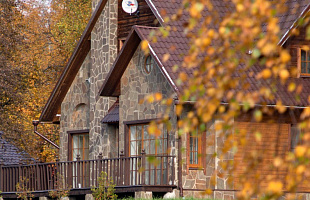 Лесные пруды