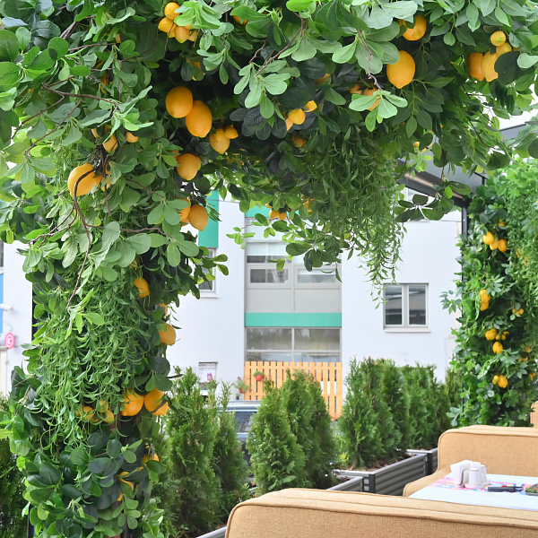 Летняя веранда