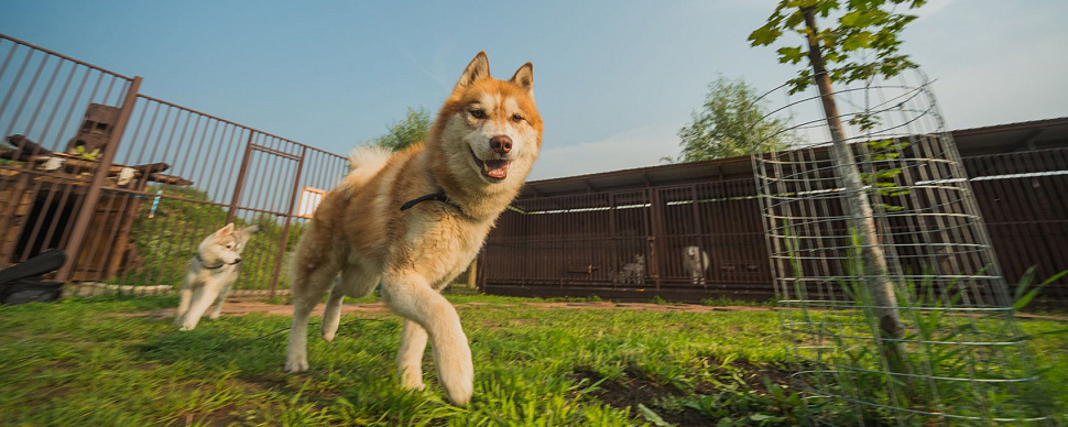 Территория Парка Сказка