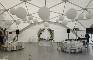 Плакучая ива