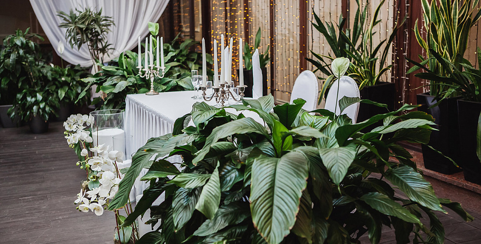 Летняя Веранда «Марко Поло»