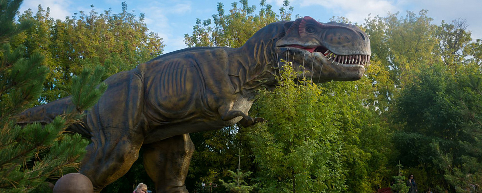 Территория Парка Сказка