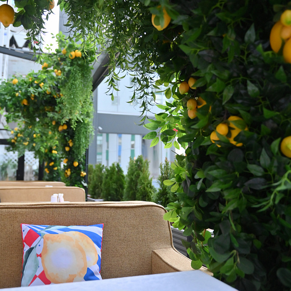 Летняя веранда