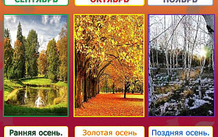 Как выбрать идеальную дату для осенней свадьбы