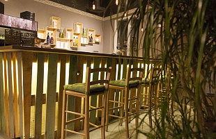 Папоротник