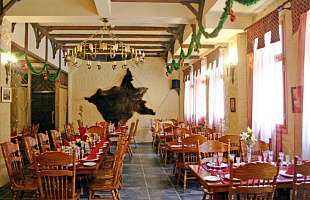 Добрый Мерлин