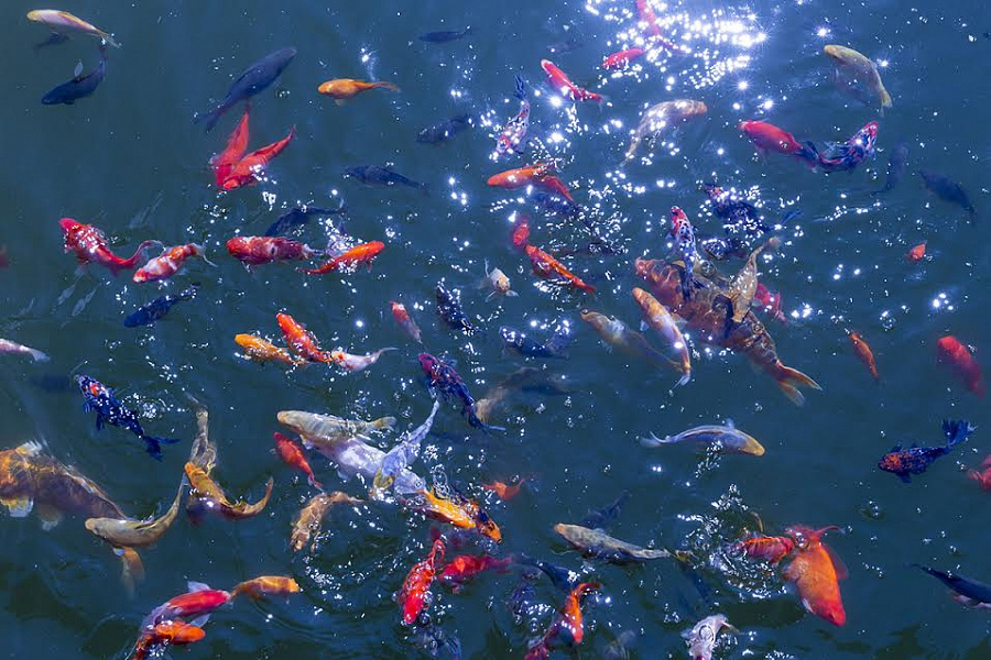 Русский зал