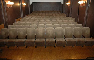 Московский детский театр теней