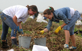 От картошки до квестов: как тимбилдинг делает команду сильнее