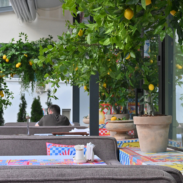 Летняя веранда