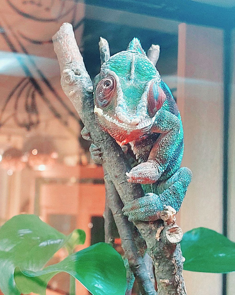 Детский зал