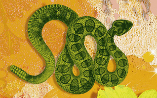 Змеи не пьют молоко