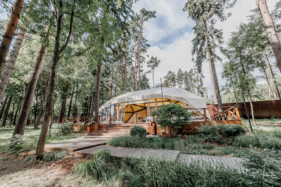 Шатер в сосновом бору