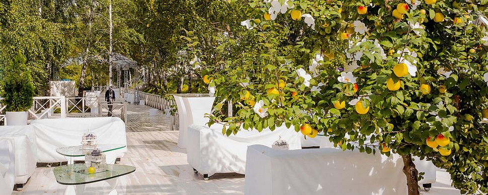 Большой шатер