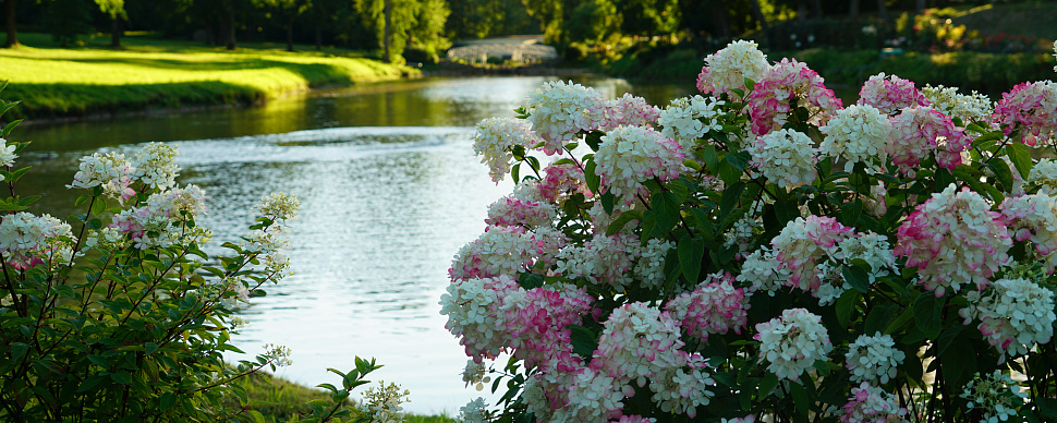 Парковое пространство