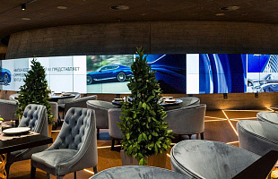 Матрешка Сколково