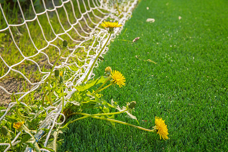 Открытые футбольные поля