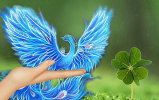 Удача точно ждёт вас в Новом 2024 году, если...